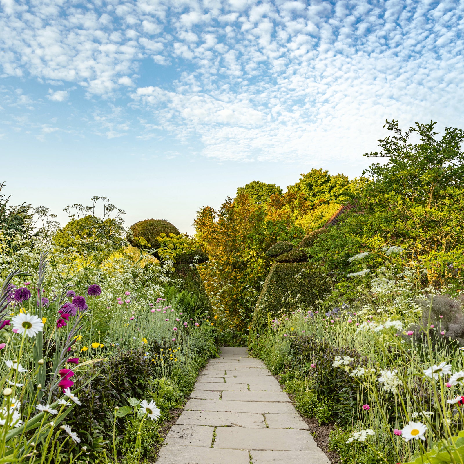 From wildflowers to garlic pest repellent: how to make your garden better for the environment