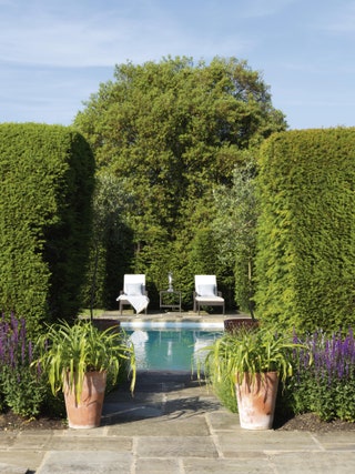 Image may contain Plant Hedge Fence Garden Outdoors Bush Vegetation and Water