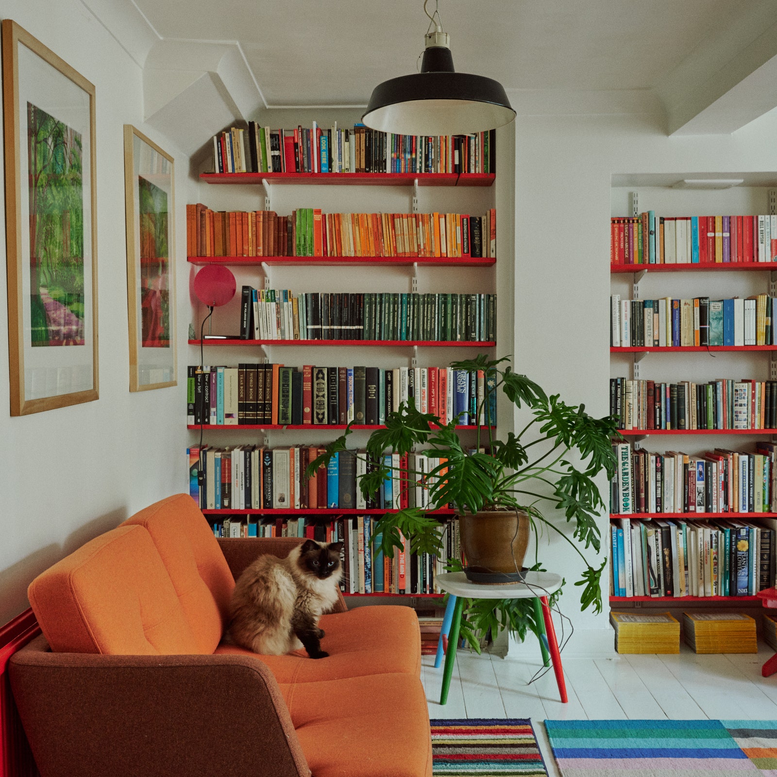 A once dingy maisonette brought to life with a fearless approach to colour and creativity