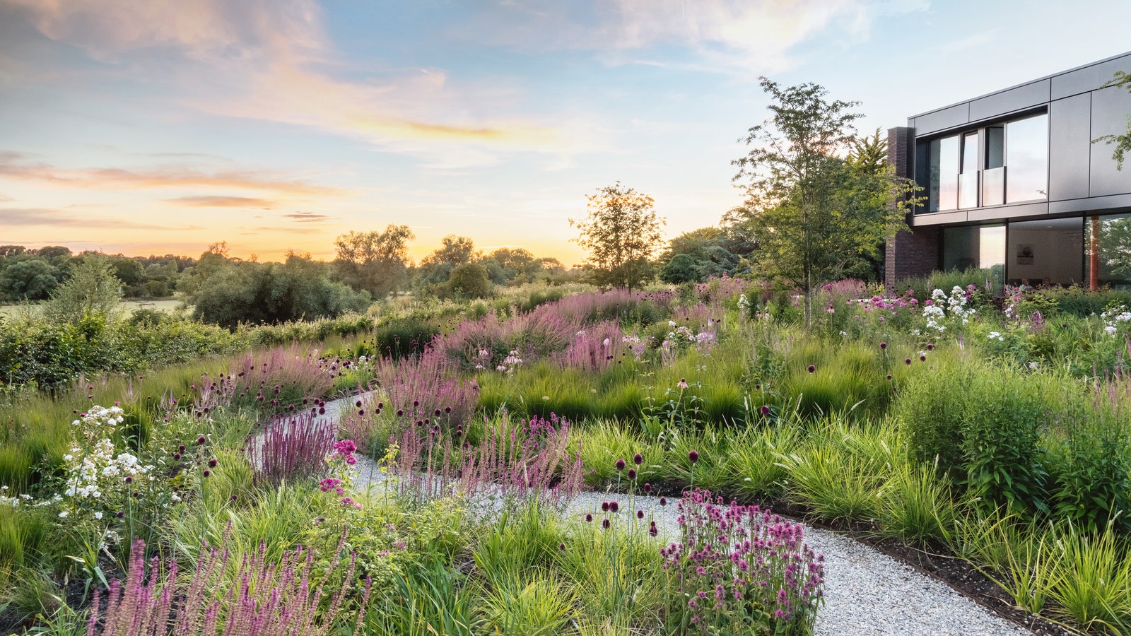 A harmonious naturalistic garden deep in the Cambridgeshire fens